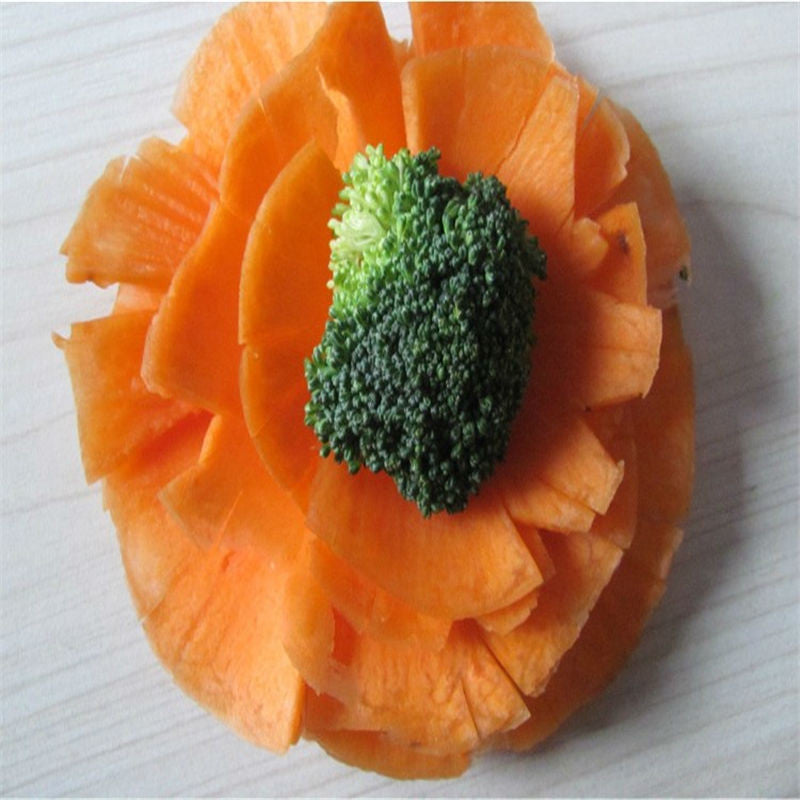 Fruit Vegetable Carving Tool